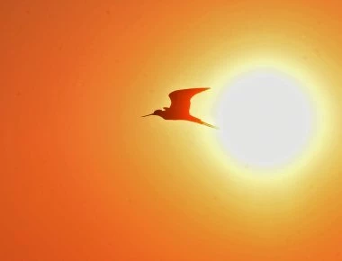 Ζούμε στην εποχή του «τρελού καιρού»: Μετά τις βροχές και τις καταιγίδες έρχεται ο «καύσωνας της χιλιετίας»